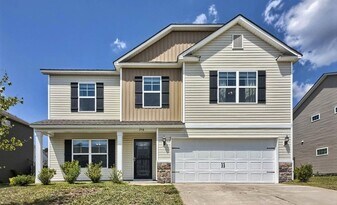 258 Meadow Saffron Dr in Lexington, SC - Building Photo