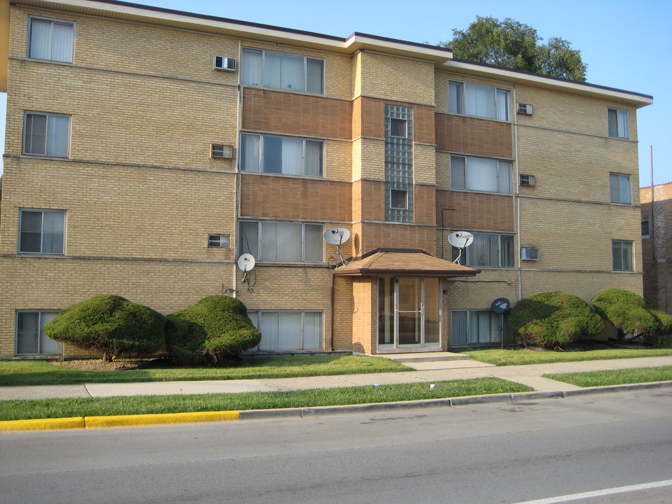 117 Buiding in Riverdale, IL - Building Photo