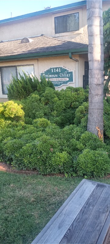 1141 Persimmon Ave