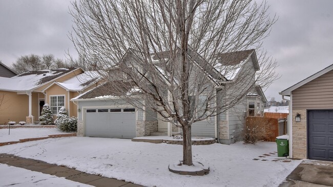 6048 Corinth Dr in Colorado Springs, CO - Building Photo - Building Photo