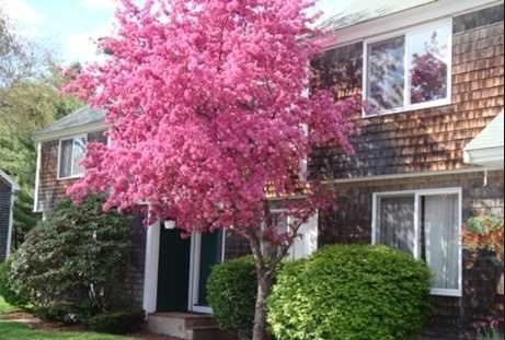 Longley Place Townhomes in Milford, NH - Foto de edificio