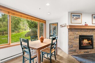 65 Campground Ln in Snowmass Village, CO - Building Photo - Building Photo