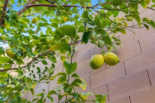 6625 Rocky Reef St in Las Vegas, NV - Building Photo - Building Photo