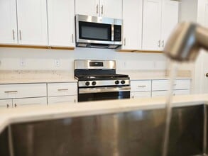 22083 Nebula Wy in Land O Lakes, FL - Building Photo - Building Photo