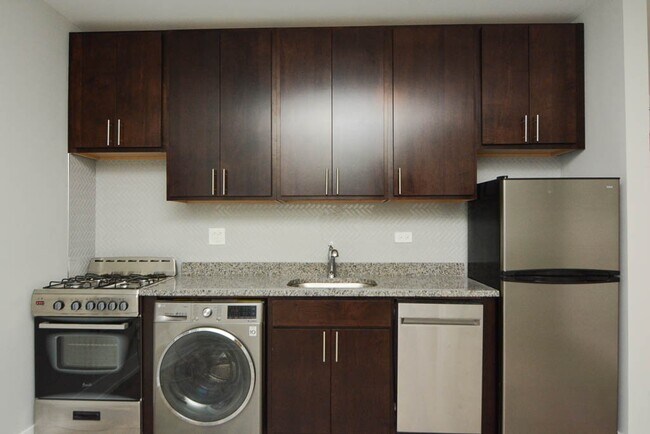 432.5 W Belden Ave in Chicago, IL - Building Photo - Building Photo