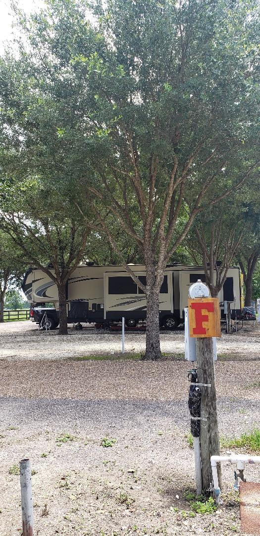 21511 Parker Rd in Tomball, TX - Building Photo - Building Photo