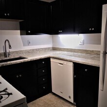 707 W Cornelia Ave in Chicago, IL - Building Photo - Building Photo