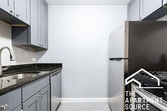 669 W Grace St in Chicago, IL - Building Photo - Building Photo