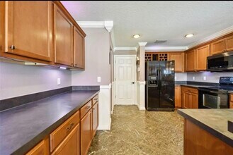 18907 Randall Pl in Land O Lakes, FL - Building Photo - Building Photo