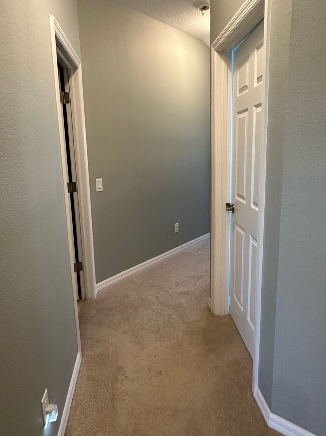 9119 Carolina Wren Dr in Tampa, FL - Building Photo - Building Photo
