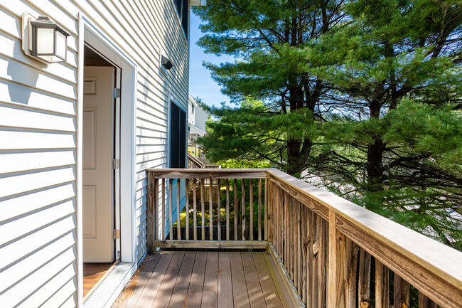 New Falls Apartments in Newton, MA - Building Photo - Interior Photo