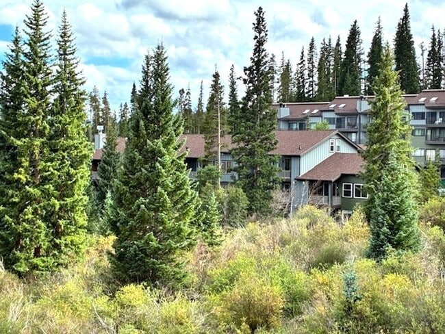 property at 10000 Ryan Gulch Rd