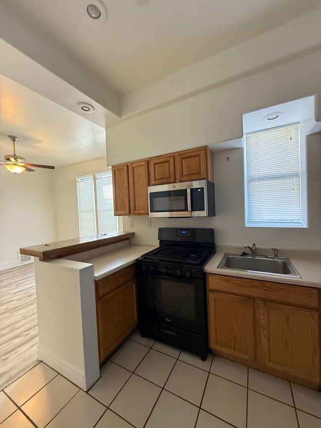 1334 N Downing St in Denver, CO - Building Photo - Building Photo