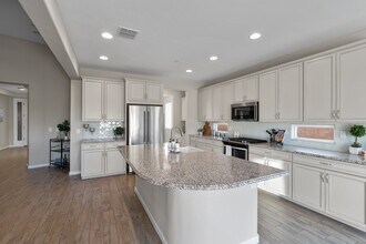 14224 N Silverleaf Ln in Marana, AZ - Building Photo - Building Photo