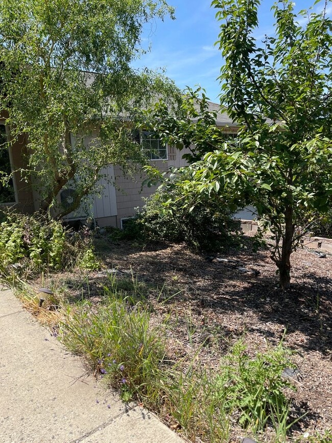 333 NW True St in Pullman, WA - Building Photo - Building Photo
