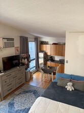 12 Stoneholm St, Unit 420 in Boston, MA - Building Photo - Building Photo