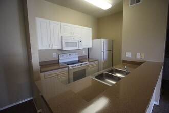 4115 Chatham Oak Ct in Tampa, FL - Building Photo - Building Photo