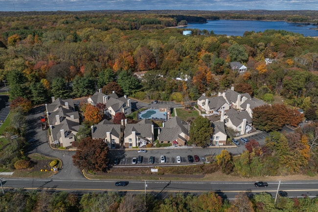The Shelton Grove