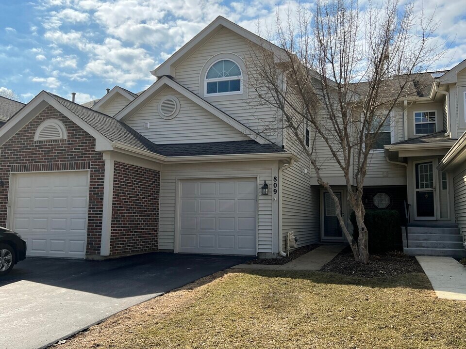 809 N Shady Oaks Dr in Elgin, IL - Building Photo