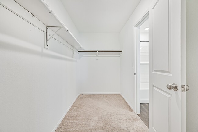 property at 10202 Clearwick St