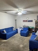 573 San Rogelio St in Hemet, CA - Building Photo