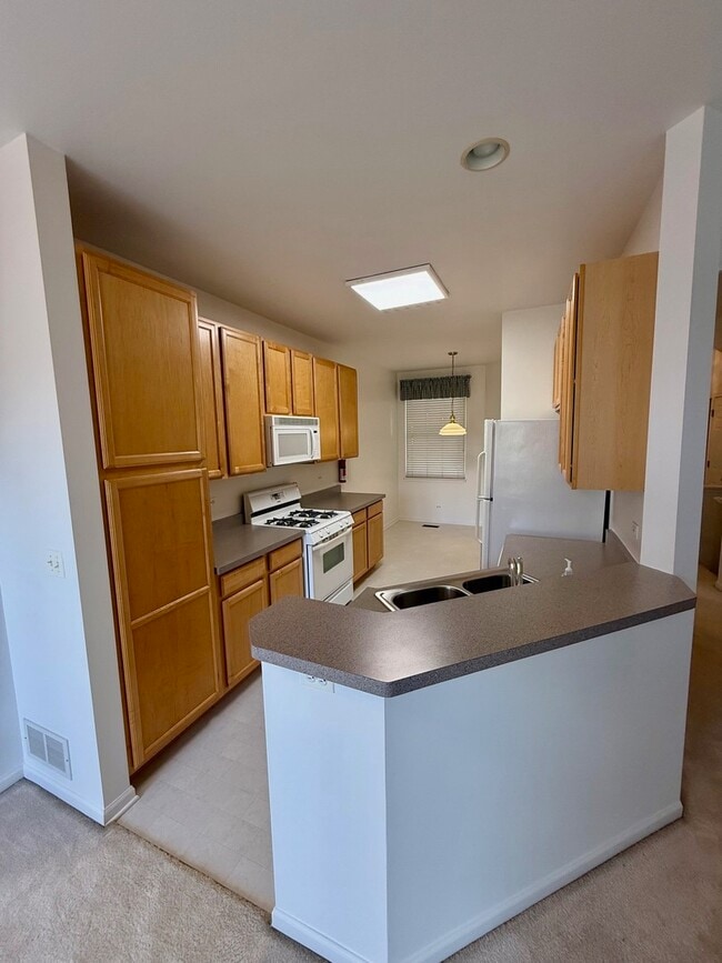 4354 Shooting Star Dr in Island Lake, IL - Building Photo - Building Photo