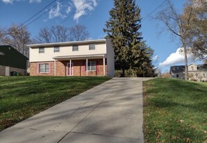 173 Home St in Rittman, OH - Building Photo