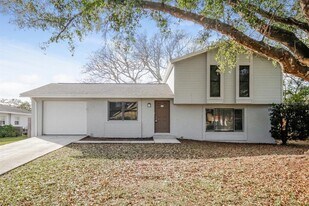 912 McIntosh Cir in Brandon, FL - Building Photo