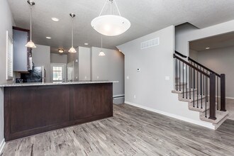 2071 SW Cascade Falls Dr in Ankeny, IA - Building Photo - Building Photo
