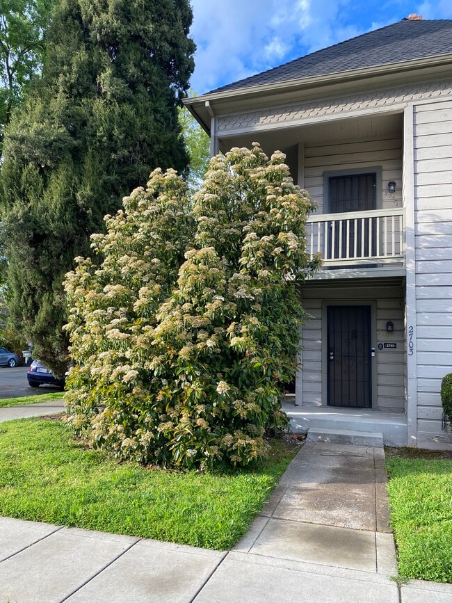 2703 T St, Unit 2703 12