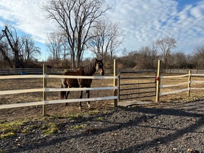 5906 Little Turtle Trail in Waterville, OH - Building Photo - Building Photo