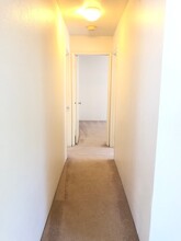 429 Mananai Pl in Honolulu, HI - Building Photo - Building Photo