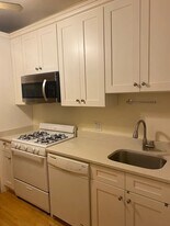 844 W Aldine Ave, Unit 1 in Chicago, IL - Building Photo