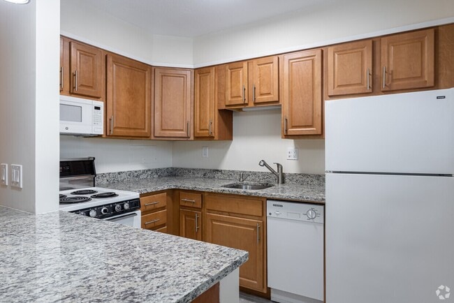 91 Stedman St, Unit 21 in Brookline, MA - Building Photo - Building Photo