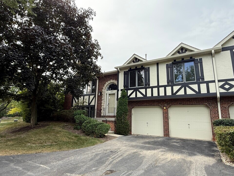9204 Drummond Dr in Tinley Park, IL - Building Photo