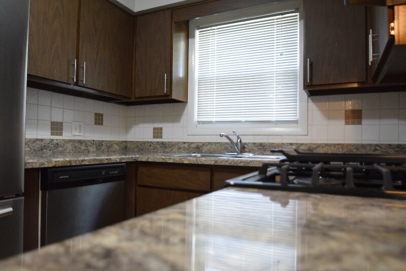 1469 Ashland Ave in Des Plaines, IL - Building Photo