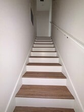 1325 N Bronough St in Tallahassee, FL - Building Photo - Building Photo