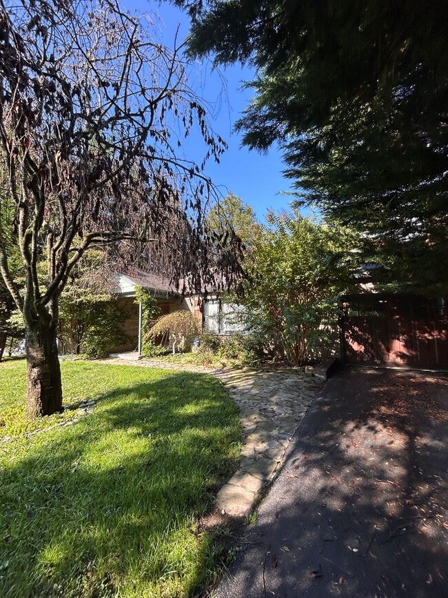 property at 904 Shreiner Ave