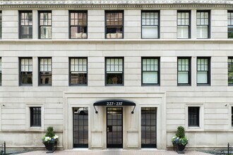 227-237 E Delaware Pl in Chicago, IL - Building Photo - Building Photo