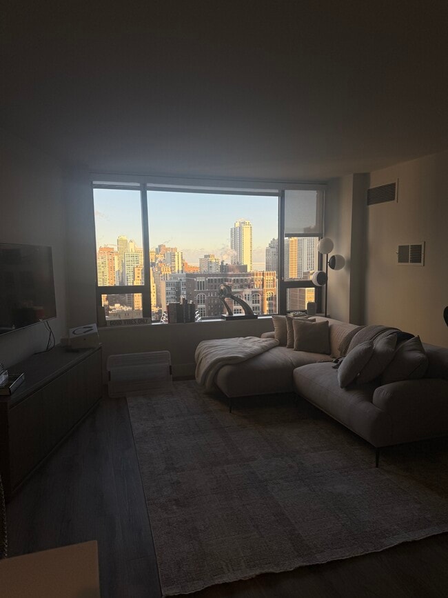 1028 N Rush St, Unit 2602 in Chicago, IL - Building Photo - Building Photo
