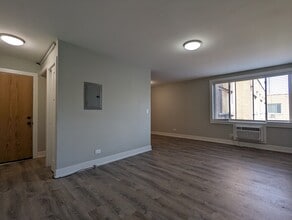 542 W Surf St in Chicago, IL - Building Photo - Building Photo