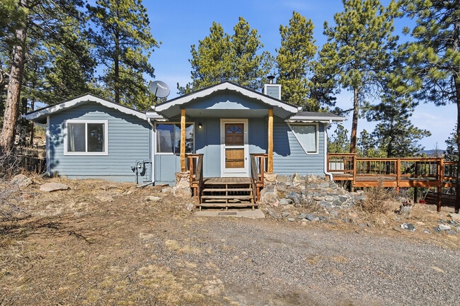 77 Catamount Ln in Bailey, CO - Building Photo - Building Photo