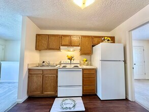 805 Old Gray Station Rd in Johnson City, TN - Foto de edificio - Building Photo