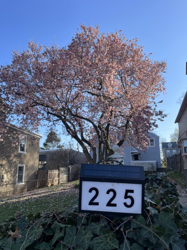 225 E 6th Ave, Unit Great Location w Office