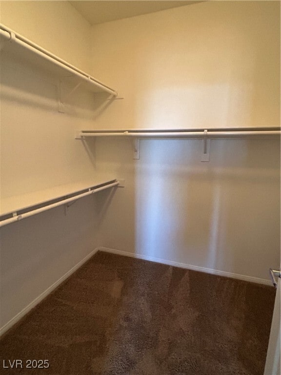 property at 10536 La Campana St