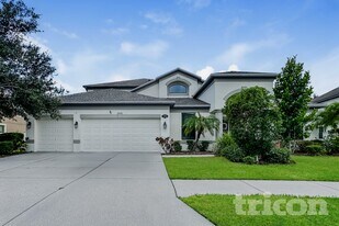 11932 Harpswell Dr in Riverview, FL - Building Photo