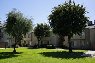 The Laurel Tree Apartments in Bakersfield, CA - Foto de edificio - Building Photo
