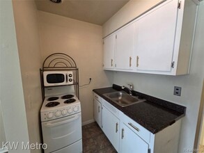715 E University Ave in Royal Oak, MI - Building Photo - Building Photo
