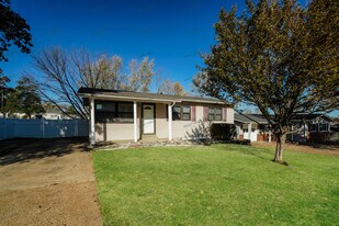 10835 Antrill Dr in St. Louis, MO - Building Photo