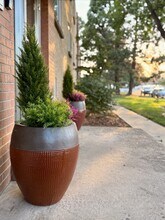 COTTONWOOD APARTMENTS in Lakewood, CO - Building Photo - Building Photo